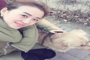 精灵宝可梦无印篇星辰影院